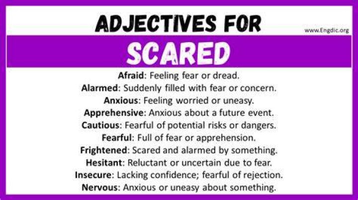 What is a word for being scared?