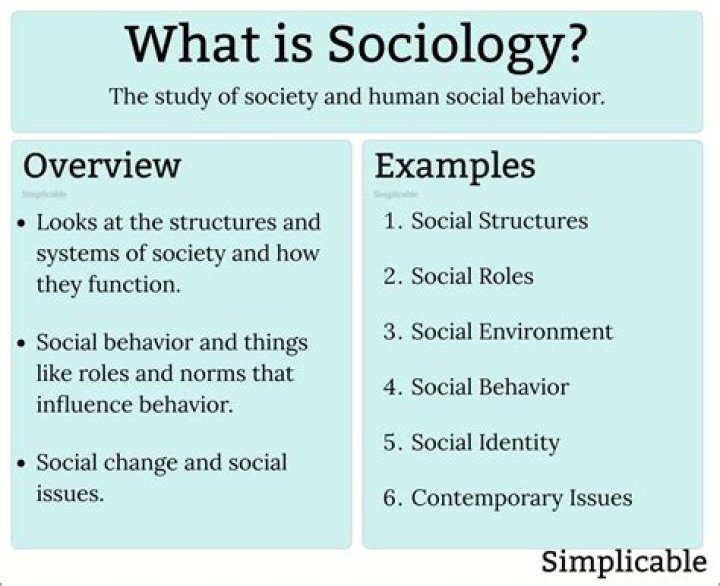 What is ambivalence in sociology?