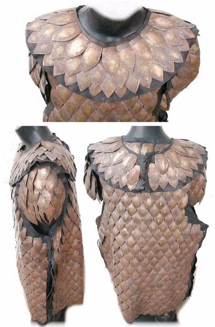 What is armadillo armor made of?