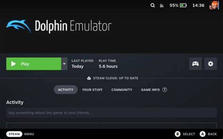What is Dolphin VR?