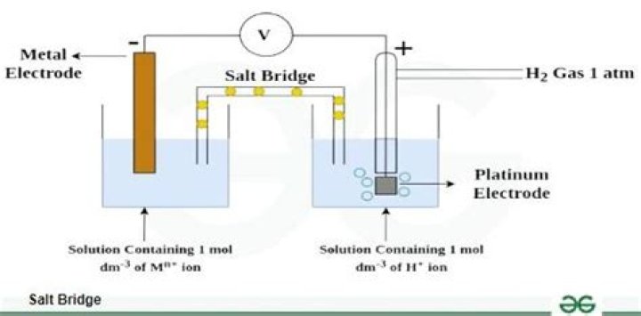 What is inside a salt bridge?