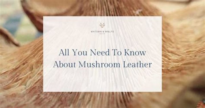 What is mushroom fabric?