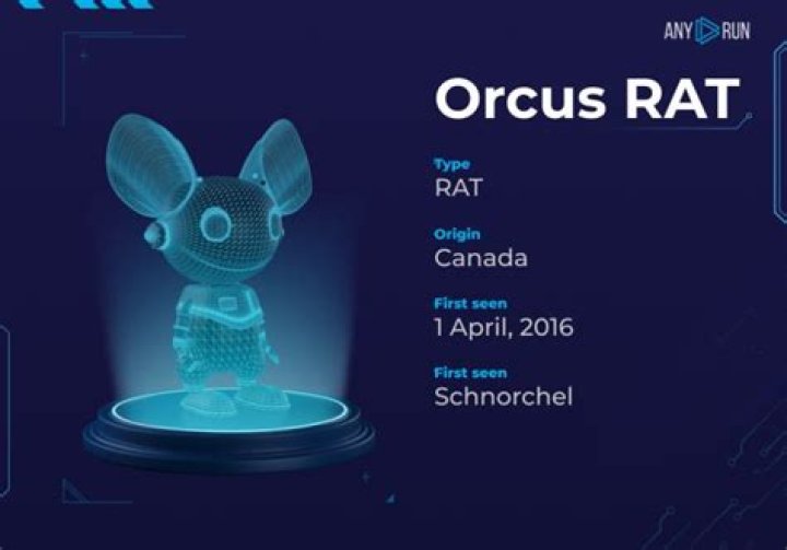 What is orcus rat?
