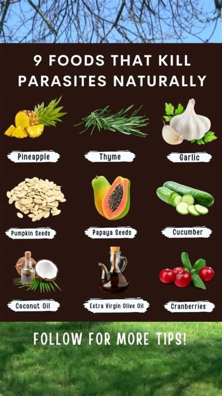 What is the best home remedy for parasites?