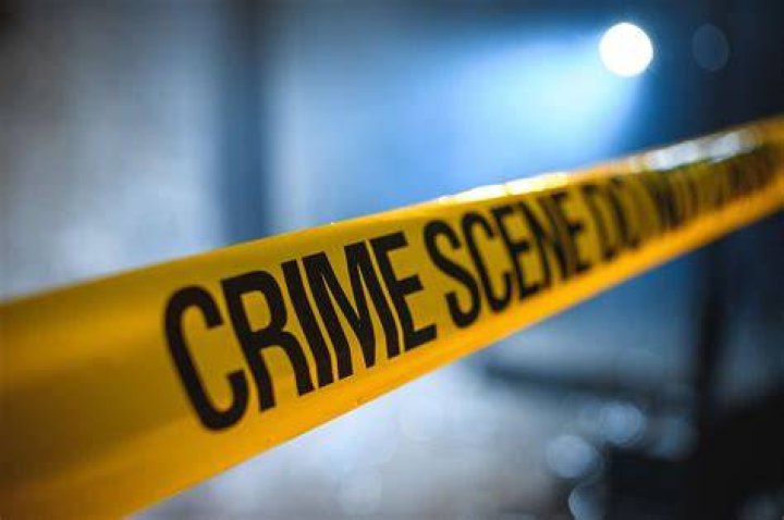 What is the crime of 73?