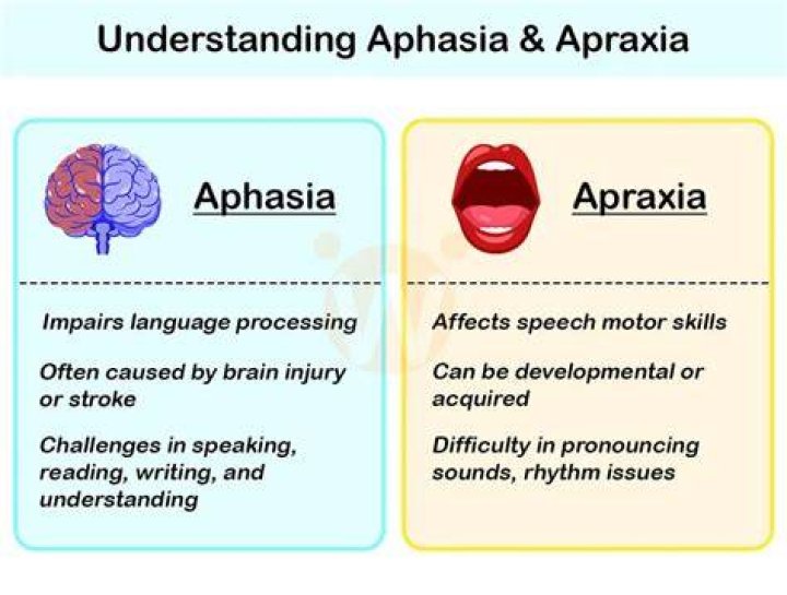 What is the difference between apraxia and dyspraxia?