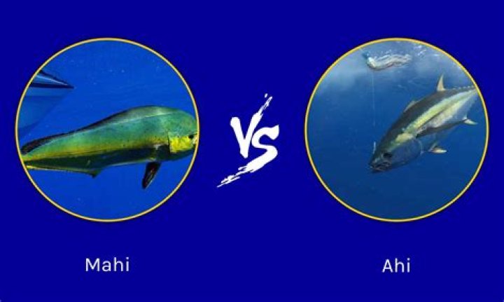What is the difference between mahi-mahi and dorado?