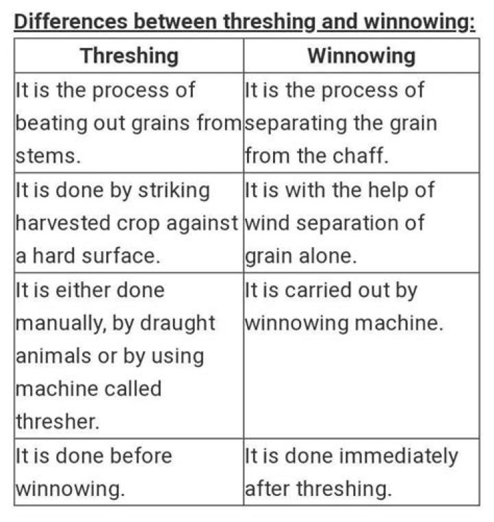 What is the difference between threshing and winnowing Class 8?