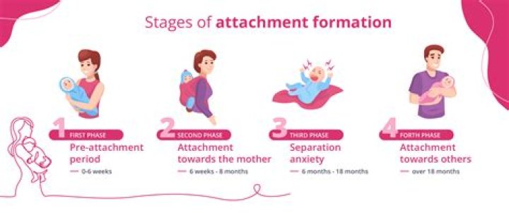 What is the most rare attachment style?