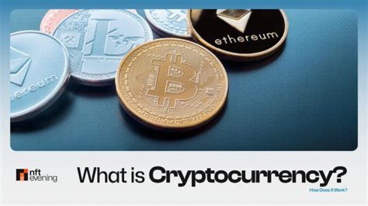 What is the only cryptocurrency that you should invest?