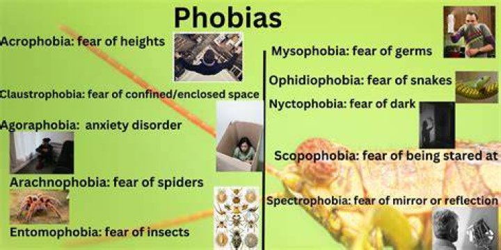 What is the phobia of police called?