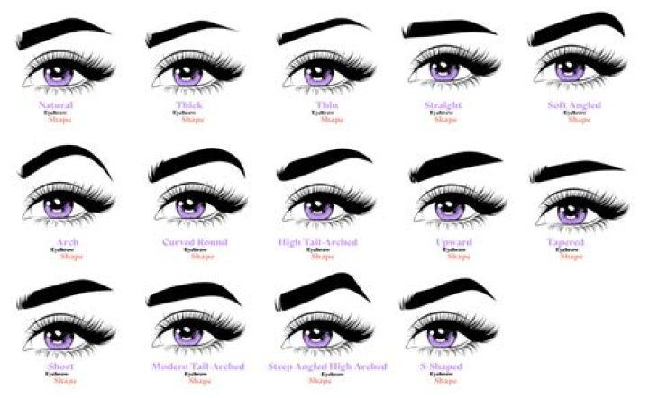 What is the point of eyebrows?