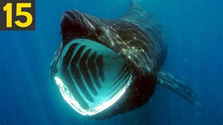 What is the scariest body of water?