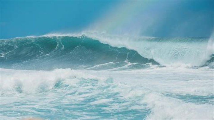 What is the swell in surfing?