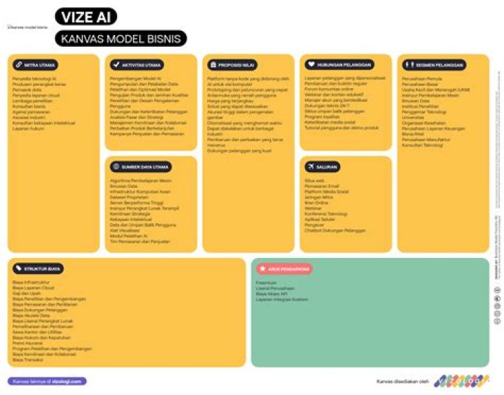 What is Vize?
