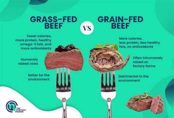 What is wrong with grain fed beef?