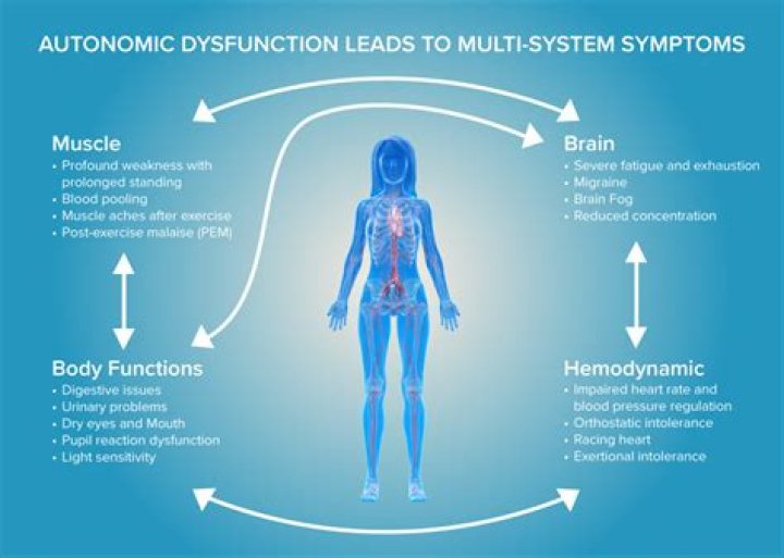 What kind of doctor treats autonomic dysfunction?