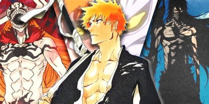 What level is Ichigo?