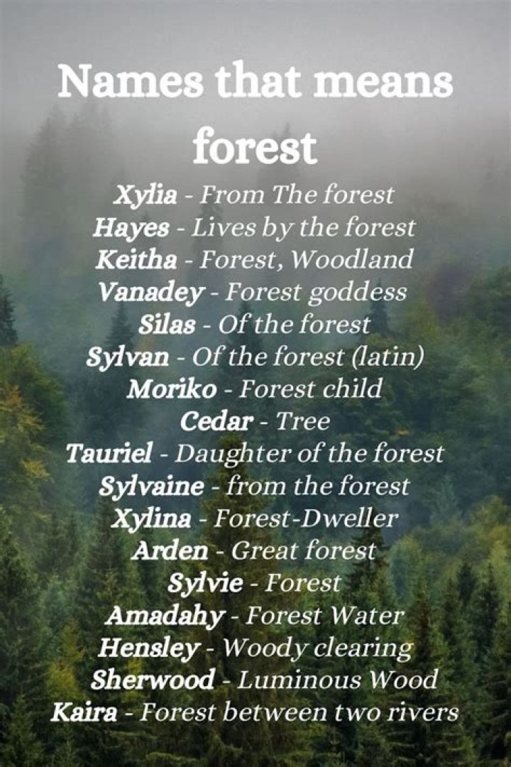 What name means forest?