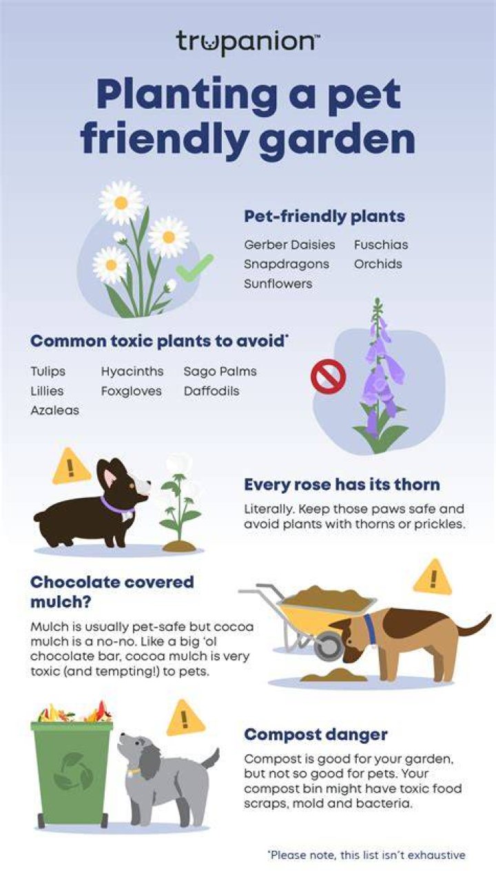 What plants should be kept away from cats?