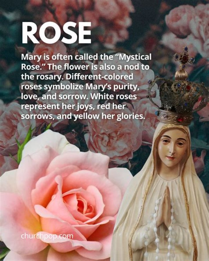 What saint is associated with roses?