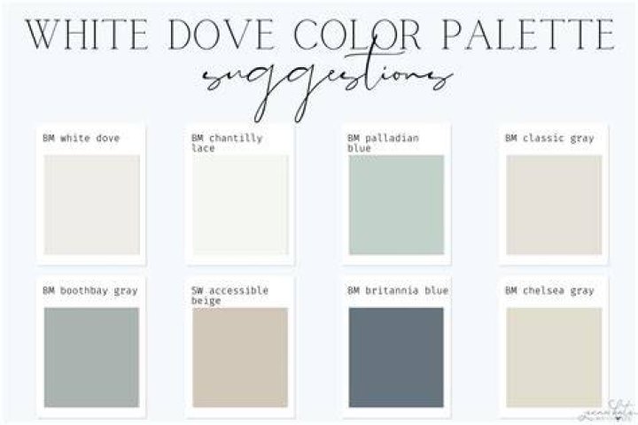 What shade is Dove?