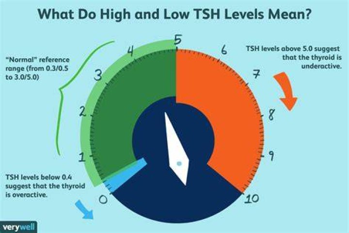 What should be done if TSH is high?
