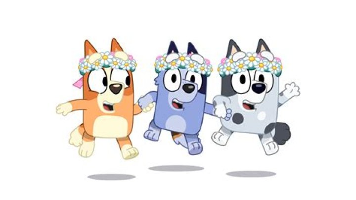 What song plays at the end of Bluey?