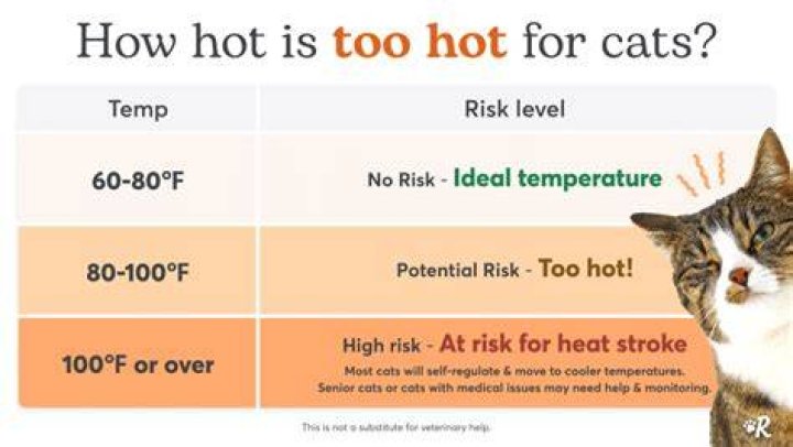 What temperature is too hot for bricks?