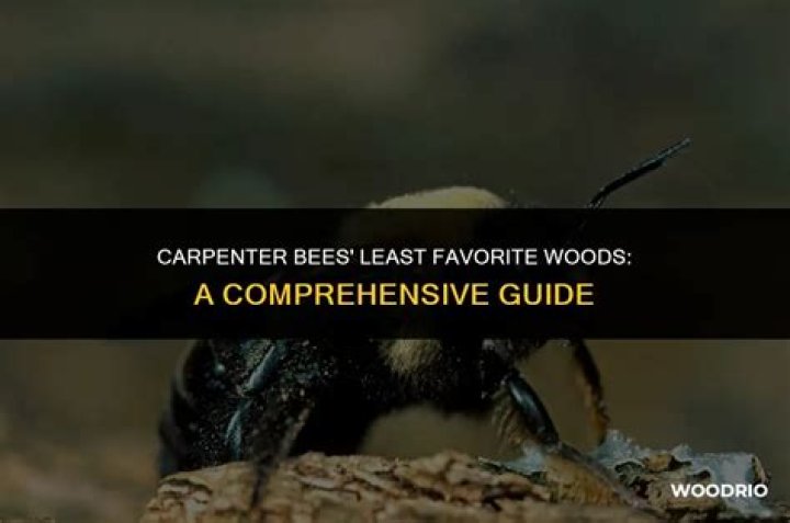 What wood do carpenter bees not like?