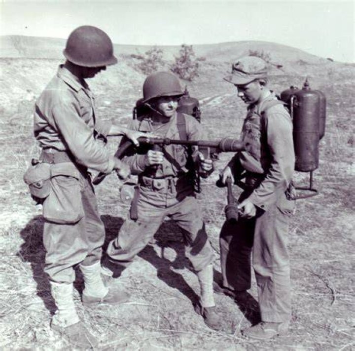 When was the last military dog fight?