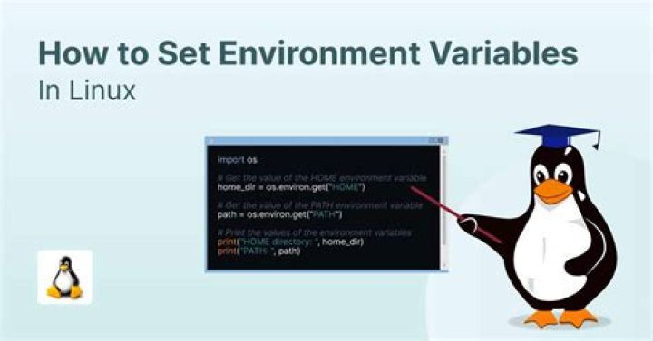 Where are environment variables stored in Linux?