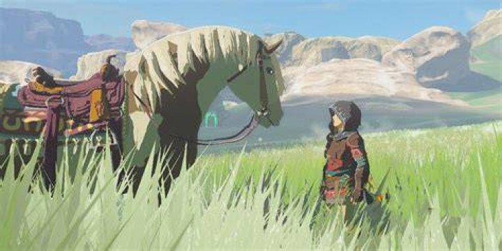Where are horses in Gerudo Canyon?