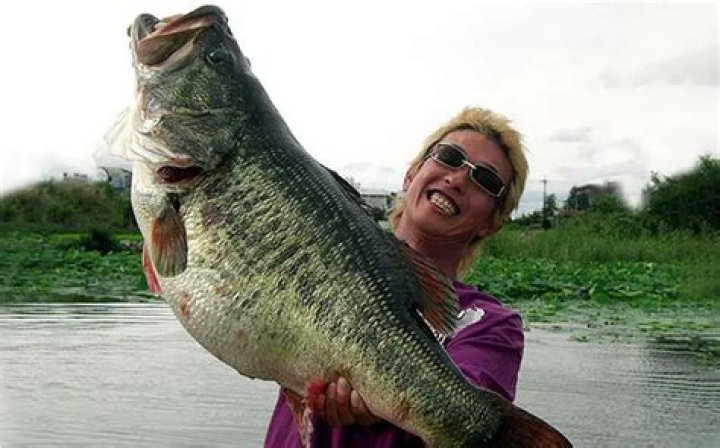 Where do the biggest bass live in a lake?