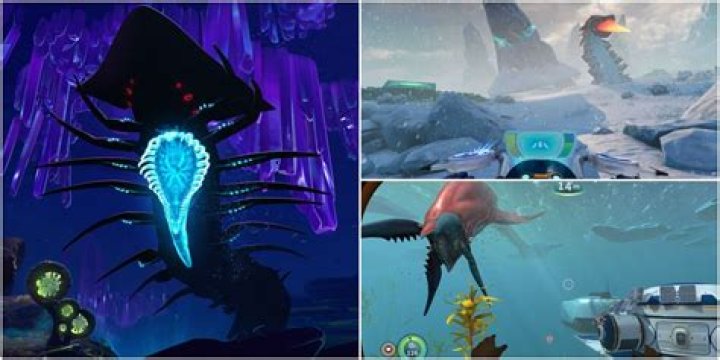 Where is the snow Leviathan?