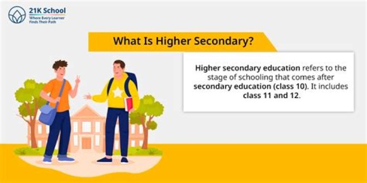 Which class is senior secondary?