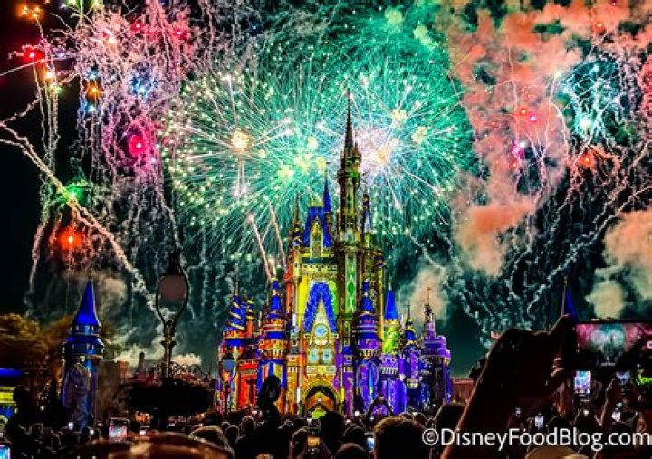 Which Disney park has fireworks at night?