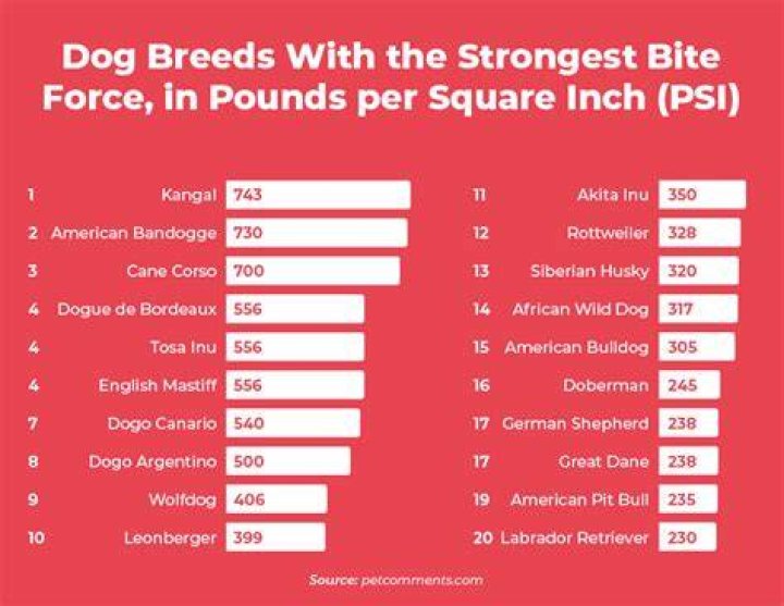 Which dog breed has the most attacks?