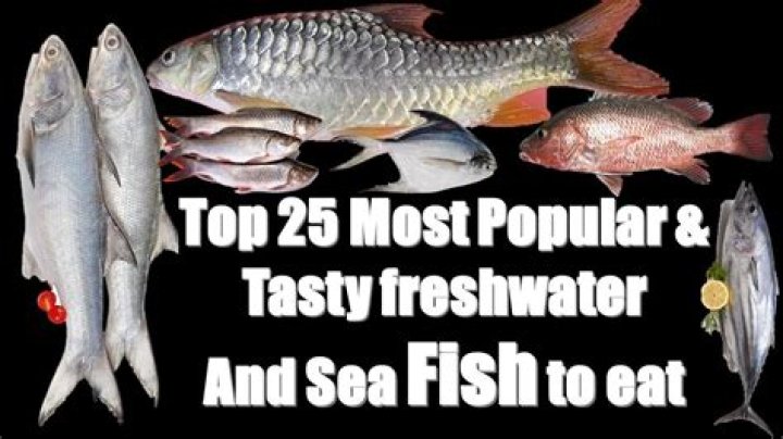 Which is the most tasty fish in India?