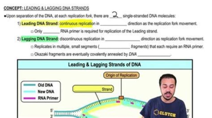 Which of the following statements correctly describe the difference between the leading strand and the lagging strand in DNA replication?
