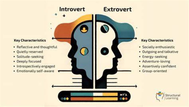 Which world leaders are introverts?