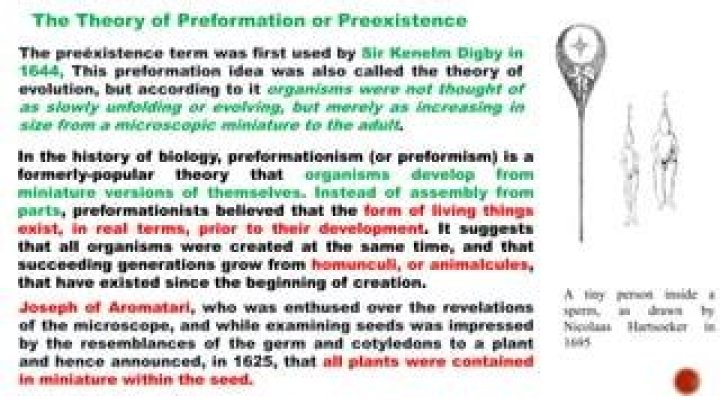 Who disproved preformationism?