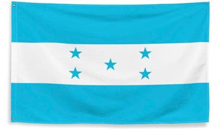 Who has a turquoise flag?