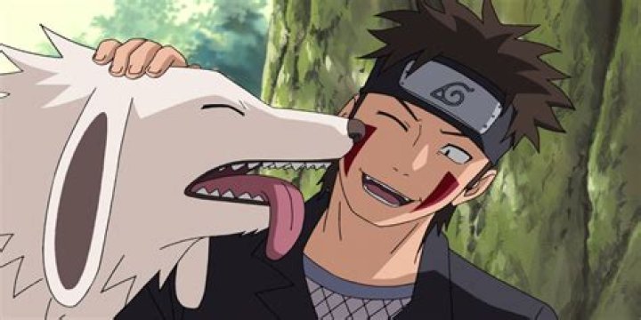 Who is Kiba dog?