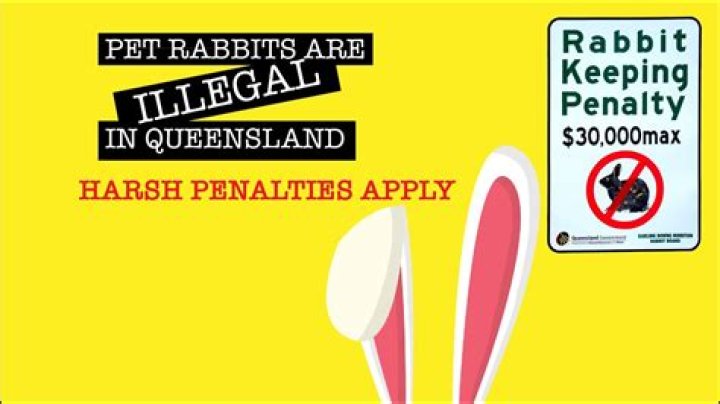 Why are rabbits illegal in Qld?