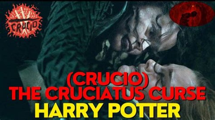 Why did Harry use crucio on Bellatrix?