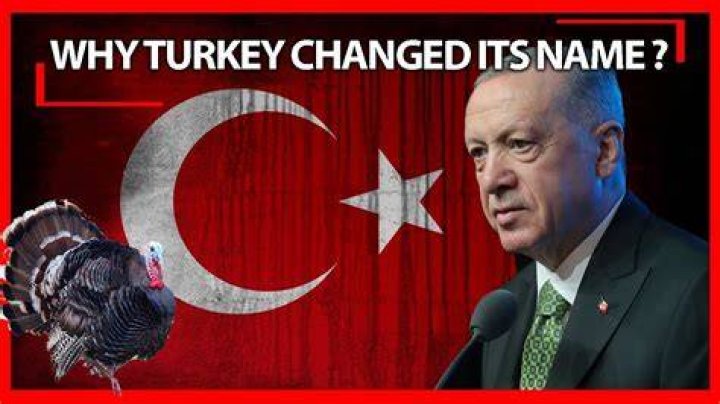 Why did Turkey help Ireland?
