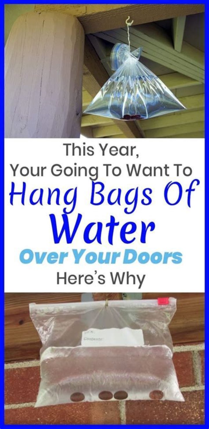 Why do people hang bags of water outside their house?