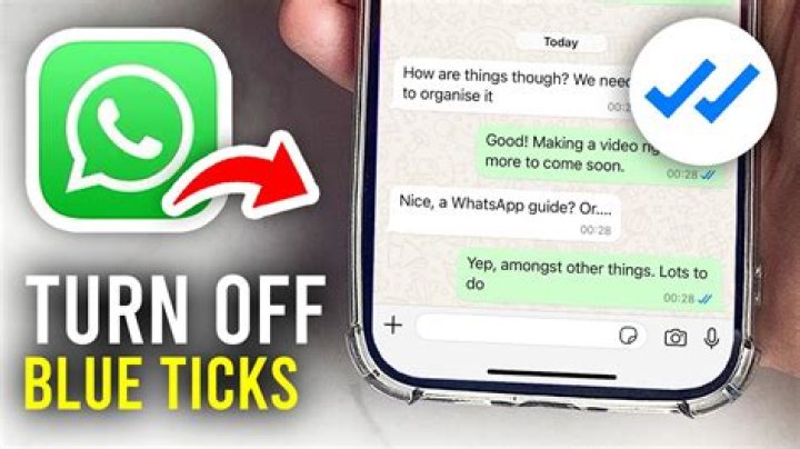 Why do some WhatsApp ticks not turn blue?