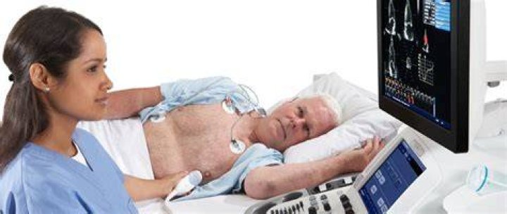 Why do they check your stomach during an echocardiogram?